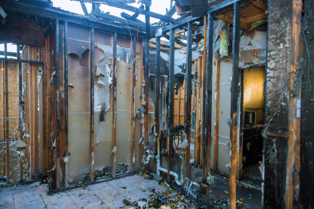 Professional Fire Damage Removal technician working in Gilbert, AZ
